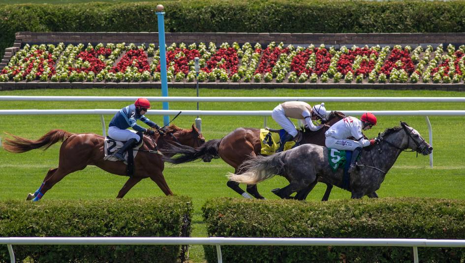 Noel Michaels handicapping, Saratoga, America's Best Racing Sunday Selections Noel Michaels handicapping, Saratoga, America's Best Racing Sunday Selections